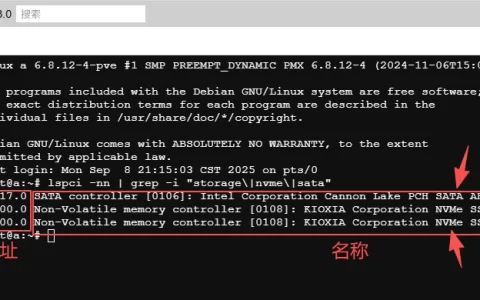 PVE安装群晖、飞牛直通硬盘，使用SATA控制器超过6个无法添加新硬盘的解决方法
