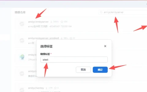 飞牛使用docker安装amilys/embyserver镜像emby媒体服务器教程
