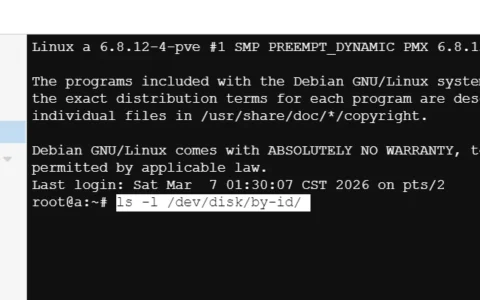 PVE如何直通整块硬盘或者直通硬盘下的某个分区给虚拟机